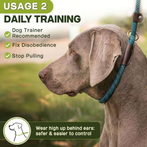 Fida Durable Slip Lead Dog Leash, 6 FT x 3/8" Dog Training Leash - Image 5