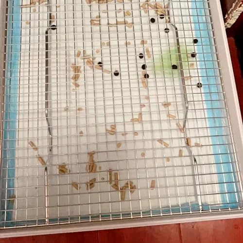 PODOO Rabbit Litter Box – Training Potty Tray - Image 6
