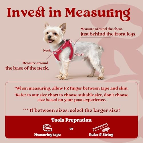 rabbitgoo Step-in Small Dog Harness, Puppy Vest - Image 2