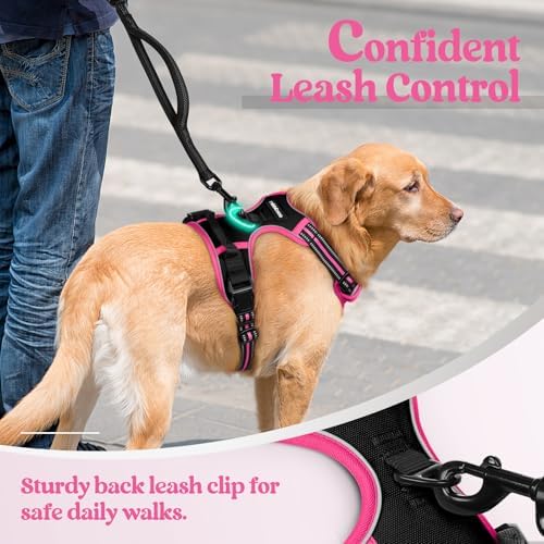 rabbitgoo Dog Harness, No Pull Medium Sized - Image 6