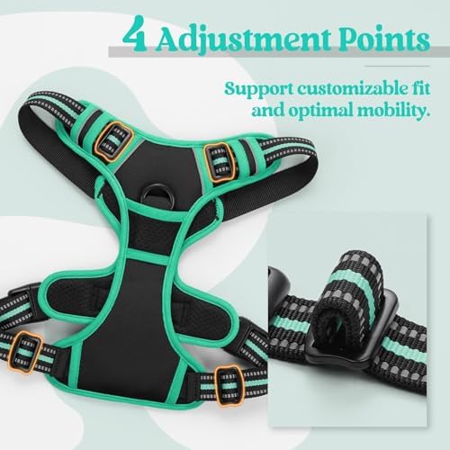 rabbitgoo Dog Harness, No Pull for Small Dogs - Image 4