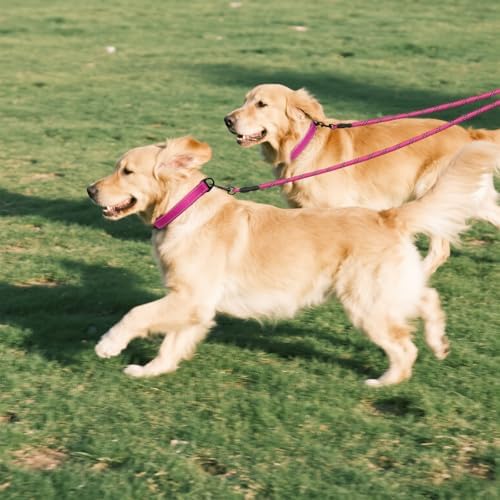 Taglory Double Dog Leash Coupler - Image 7