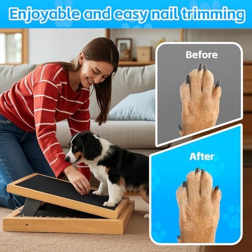 Pet Nail Self Adhesive Replacement Emery Paper 10in*13ft - Image 3