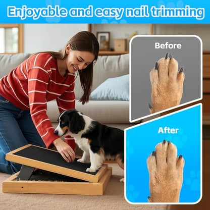 Pet Nail Self Adhesive Replacement Emery Paper - Image 4