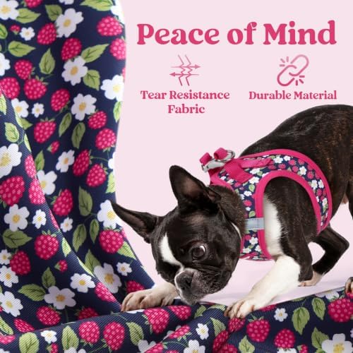 rabbitgoo Step-in Small Dog Harness, Puppy Vest - Image 5