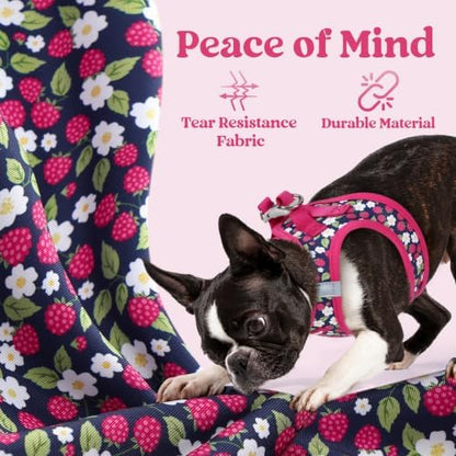 rabbitgoo Step-in Small Dog Harness, Puppy Vest - Image 5