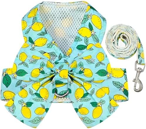 BAEJMJK Dog Harness and Leash Set by BAEJMJK