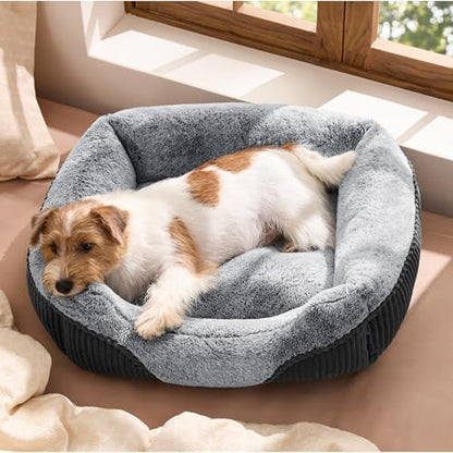 Bedsure Washable Dog Bed Small Medium Size Dog Rectangle Pet Bed by BEDSURE