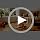 Kitten Carousel Cat Scratching Post - Image 7
