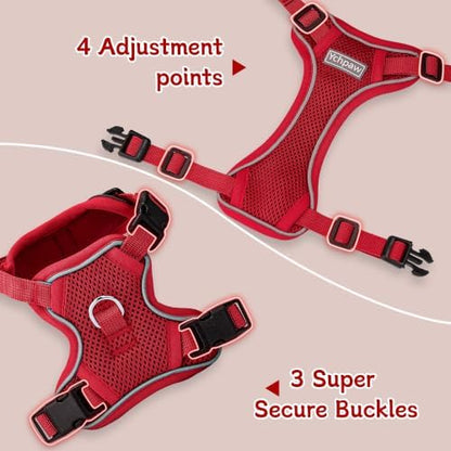 Small Dog Harness and Leash Set, Adjustable Small Sized Pet Vest - Image 3