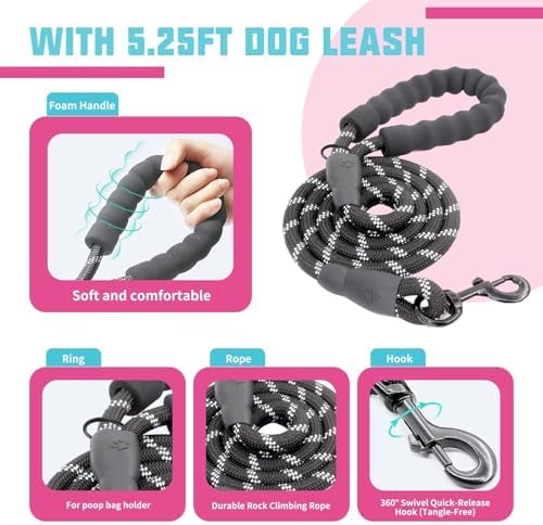 AUROTH Dog Harness and Leash Set - Image 4