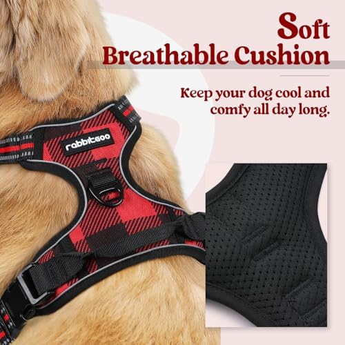 rabbitgoo Dog Harness, No Pull for Small Dogs - Image 2