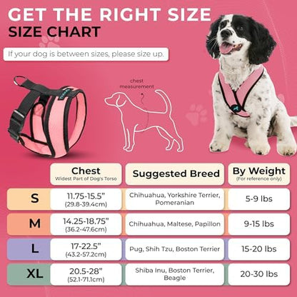 Gooby Comfort X Head-in Dog Harness, Choke-Free - Image 4