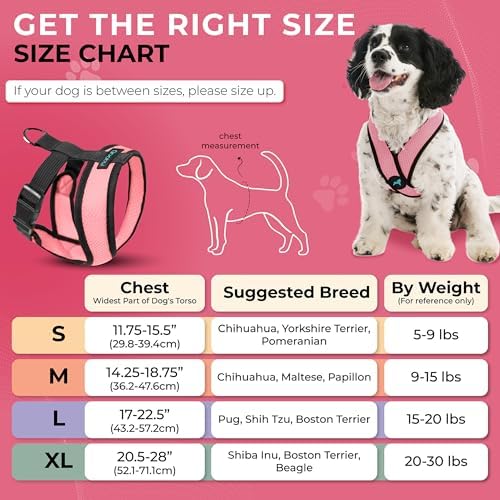 Gooby Comfort X Head-in Dog Harness, Choke-Free - Image 5
