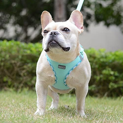 Mercano Soft Mesh Dog Harness and Leash Set, Step-in Reflective Breathable - Image 4