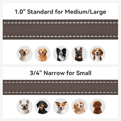 Joytale Reflective Dog Leash for Small Dogs, 5 FT x 3/4" - Image 6