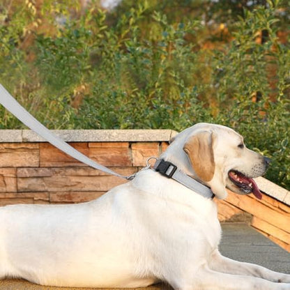 6 FT Basic Dog Leash for Large Dogs - Image 3