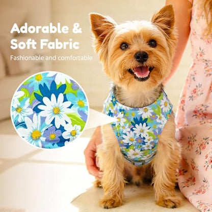 BAEJMJK Dog Harness and Leash Set - Image 3