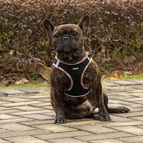 AMTOR Small Dog Harness with Leash Set, No Escape Easy Walk Puppy Harnesses - Image 5