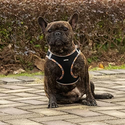 AMTOR Small Dog Harness with Leash Set, No Escape Easy Walk Puppy Harnesses - Image 5