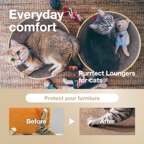Necoichi Cat Scratcher Bowl for Indoor Cats - Image 4