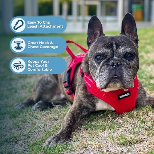 Voyager Step-in Flex Adjustable Dog Harness - Image 5