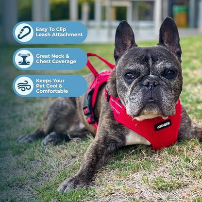 Voyager Step-in Flex Adjustable Dog Harness - Image 5