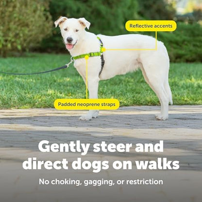 PetSafe Deluxe Easy Walk No Pull Dog Harness, Apple Green, Medium/Large - Image 5
