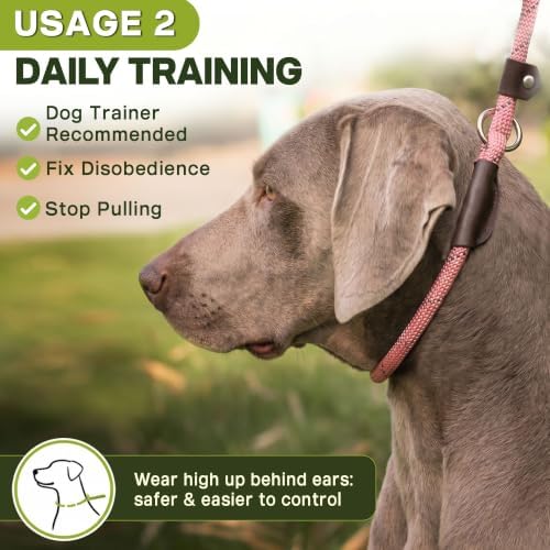 Fida Durable Slip Lead Dog Leash, 6 FT x 3/8" Heavy Duty Loop Leash - Image 5