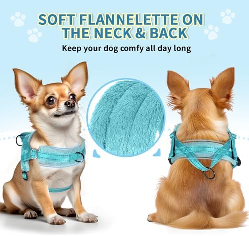 SlowTon No Pull Small Dog Harness and Leash Set - Image 2