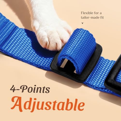 Dooradar Cat Harness and Leash Set, Adjustable and Escape Proof - Image 3