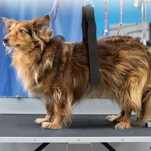 GROOMER ESSENTIALS Stand Band - Image 3