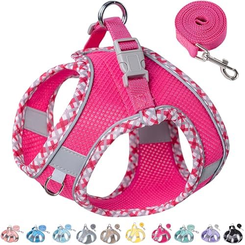 Petank Step in Dog Harness No Pull and Leash by PetankCareforEveryPaw