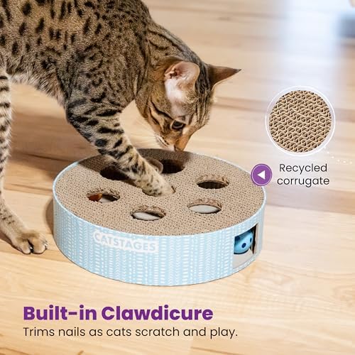 Catstages Scratch N' Hunt Interactive Cat Puzzle Toy - Image 6