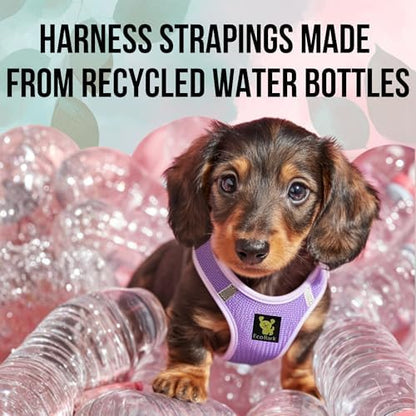 EcoBark Premium Teacup Dog Harness, Mini Step in Vest - Image 4