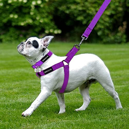 No Pull Dog Harness, Leash & Collar Set, Adjustable Step-in Vest - Image 5