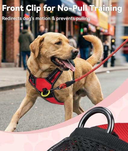 Joytale No Pull Dog Harness for Small Dogs, Front Clip - Image 2