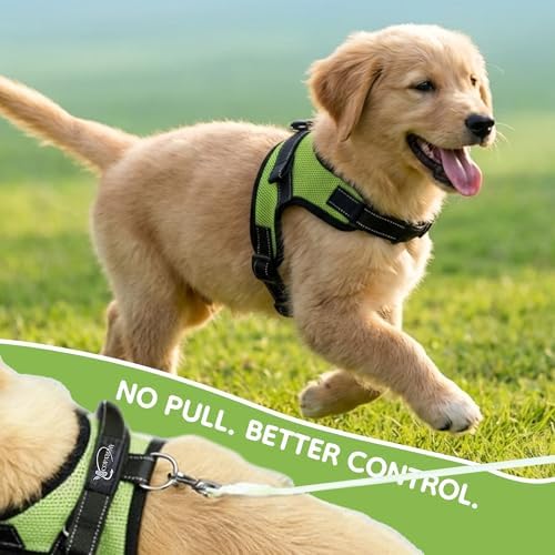 No Pull Reflective Adjustable Dog Harness - Image 6
