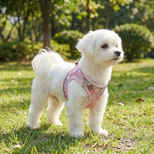 Mihqy Step in Dog Harness and Leash Set, Soft Breathable Mesh - Image 5