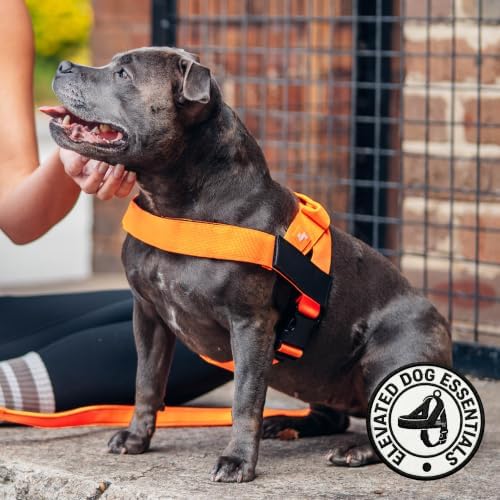 Dog Friendly Co. Dog Harness for Large Dogs - Image 6