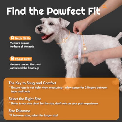 Eagloo Small Dog Harness and Leash Set, Step in Small Sized Puppy Pet Vest - Image 2