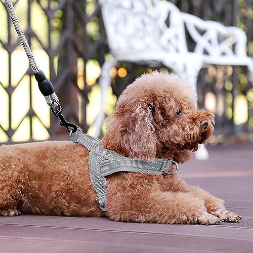Plutus Pet No Pull Dog Harness for Medium Sized Dog, Breathable Mesh Padded - Image 5