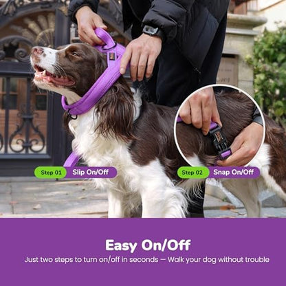 Didog No Pull Dog Harness for Small Dogs, Breathable Mesh Padded - Image 4