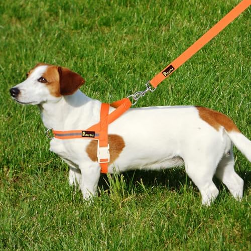 Plutus Pet Cotton Dog Harness and Leash Set, Reflective and Soft Padded - Image 6