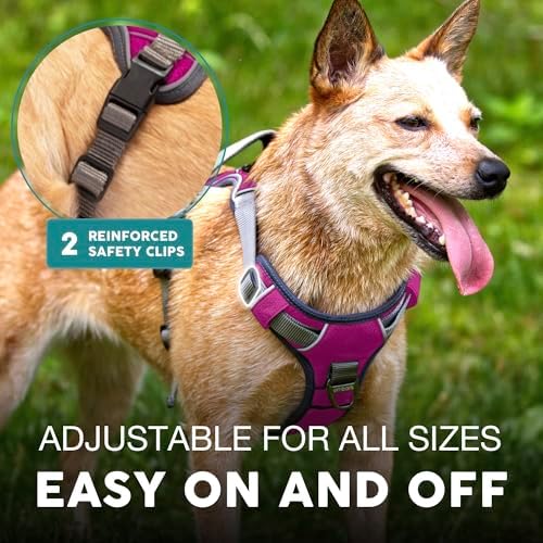 Embark No Pull Dog Harness, Reflective Adjustable Training Vest, No Choke - Image 5