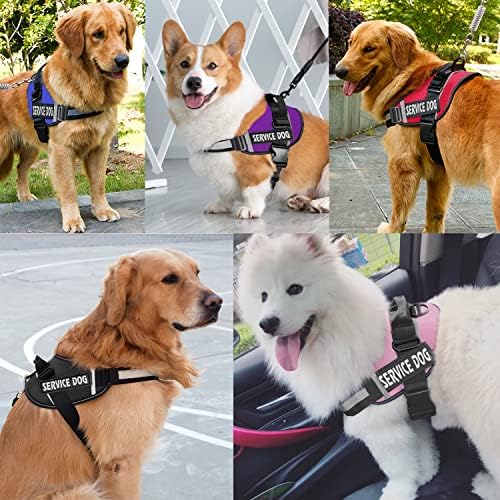 JSXD Dog Harness, No-Pull Service Dog Harness - Image 6