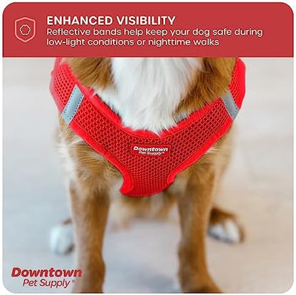 Downtown Pet Supply Step-in Dog Harness – No Pull, Adjustable Padded Mesh - Image 7