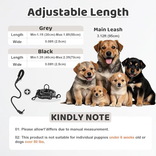 Double Dog Leash - Image 2