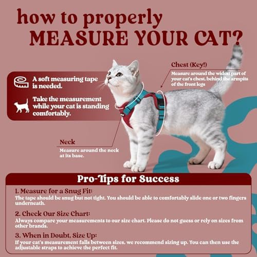 rabbitgoo Cat Harness and Leash Set, Escape Proof Vest - Image 2