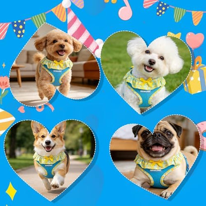 EXPAWLORER Step-in Dog Harness Small Sized and Leash Set - Image 6